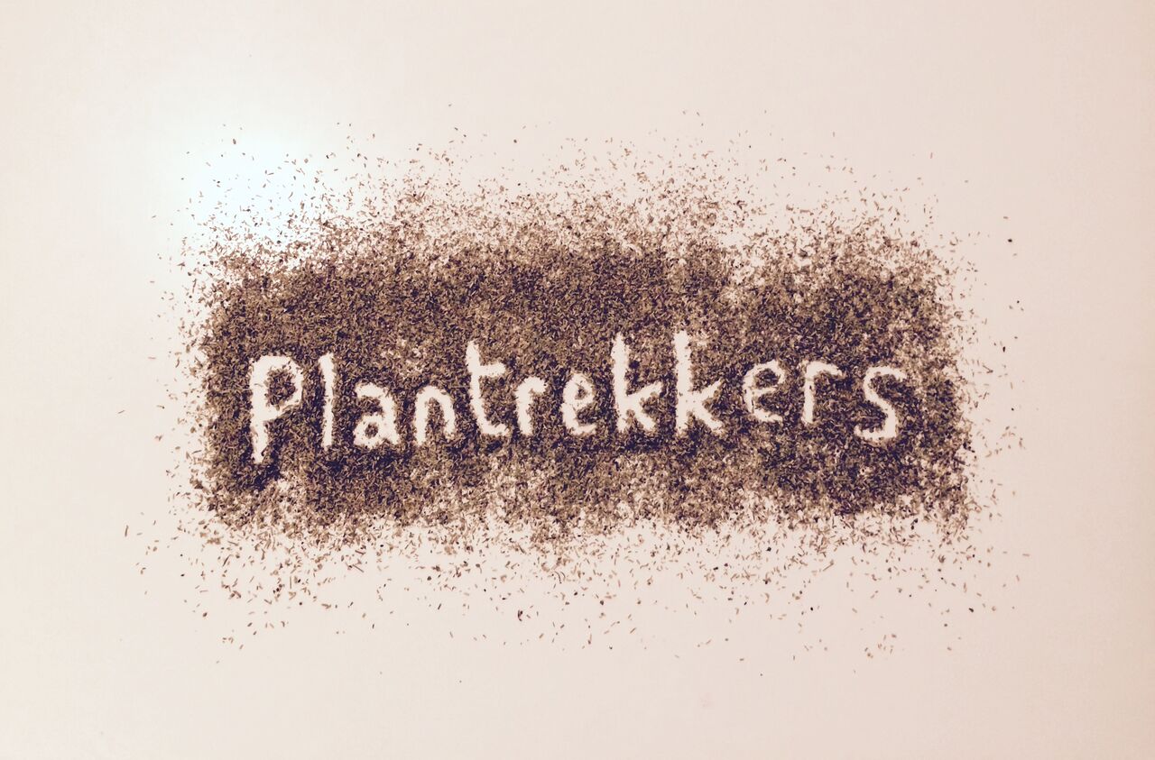 f39S47BLOLZW2DUJ0NYBRD4sTLvEekHRmFdTiXaFkEk