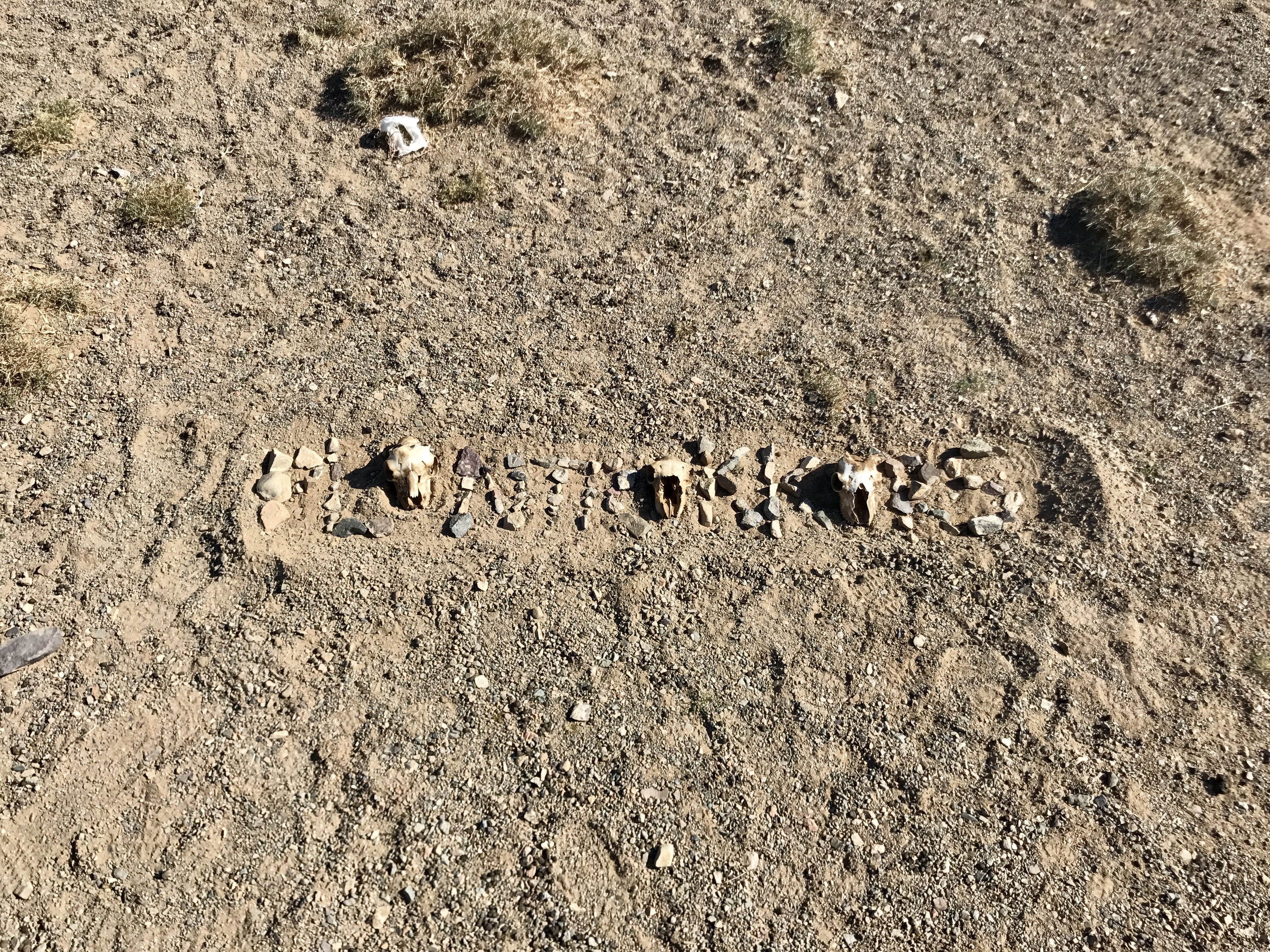 Foto 26-09-17 14 38 20.jpg