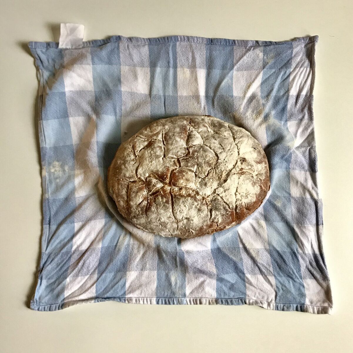 Foto 15-08-17 10 25 46_preview.jpg