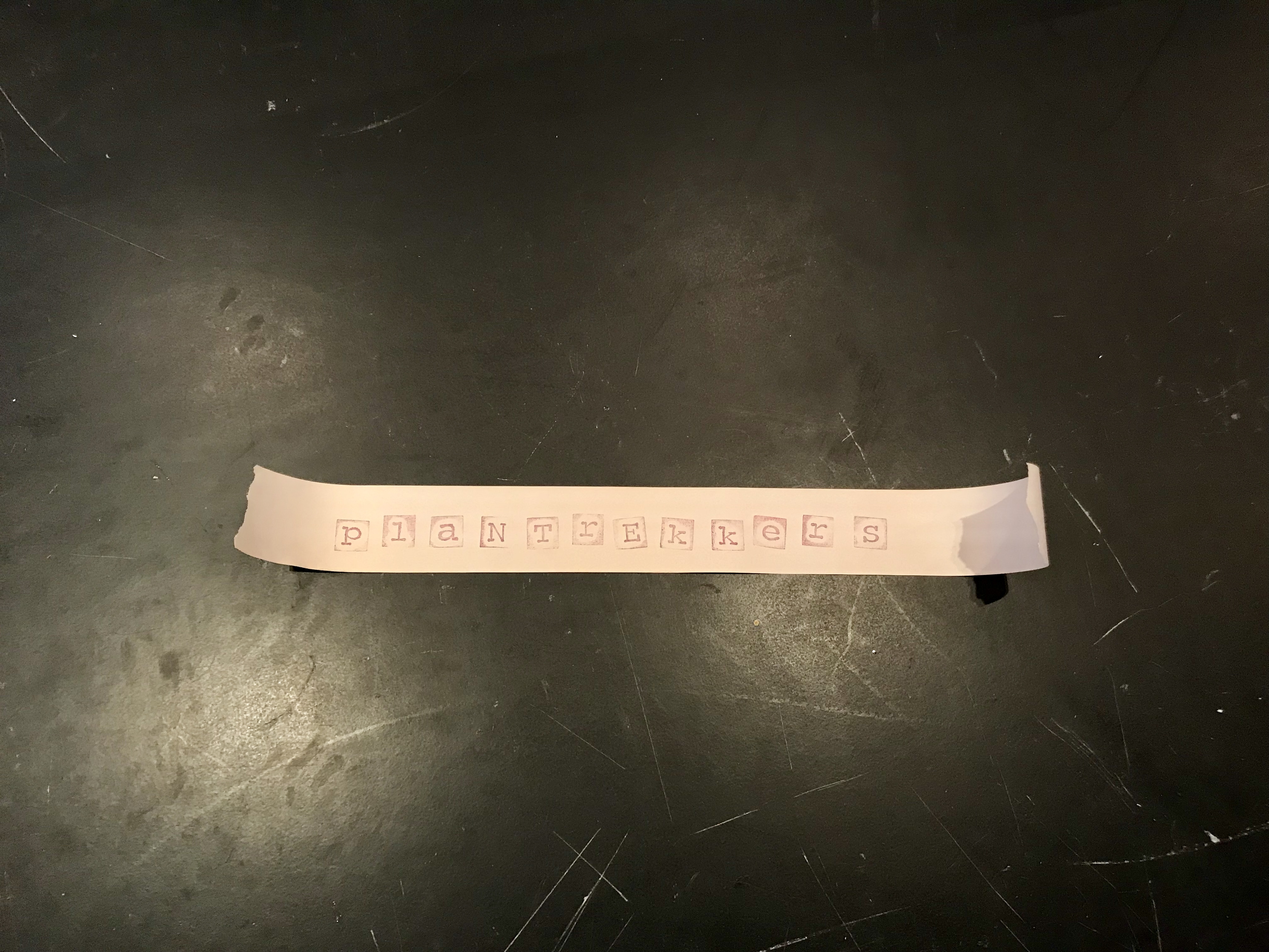 Foto 16-03-18 11 38 20.jpg