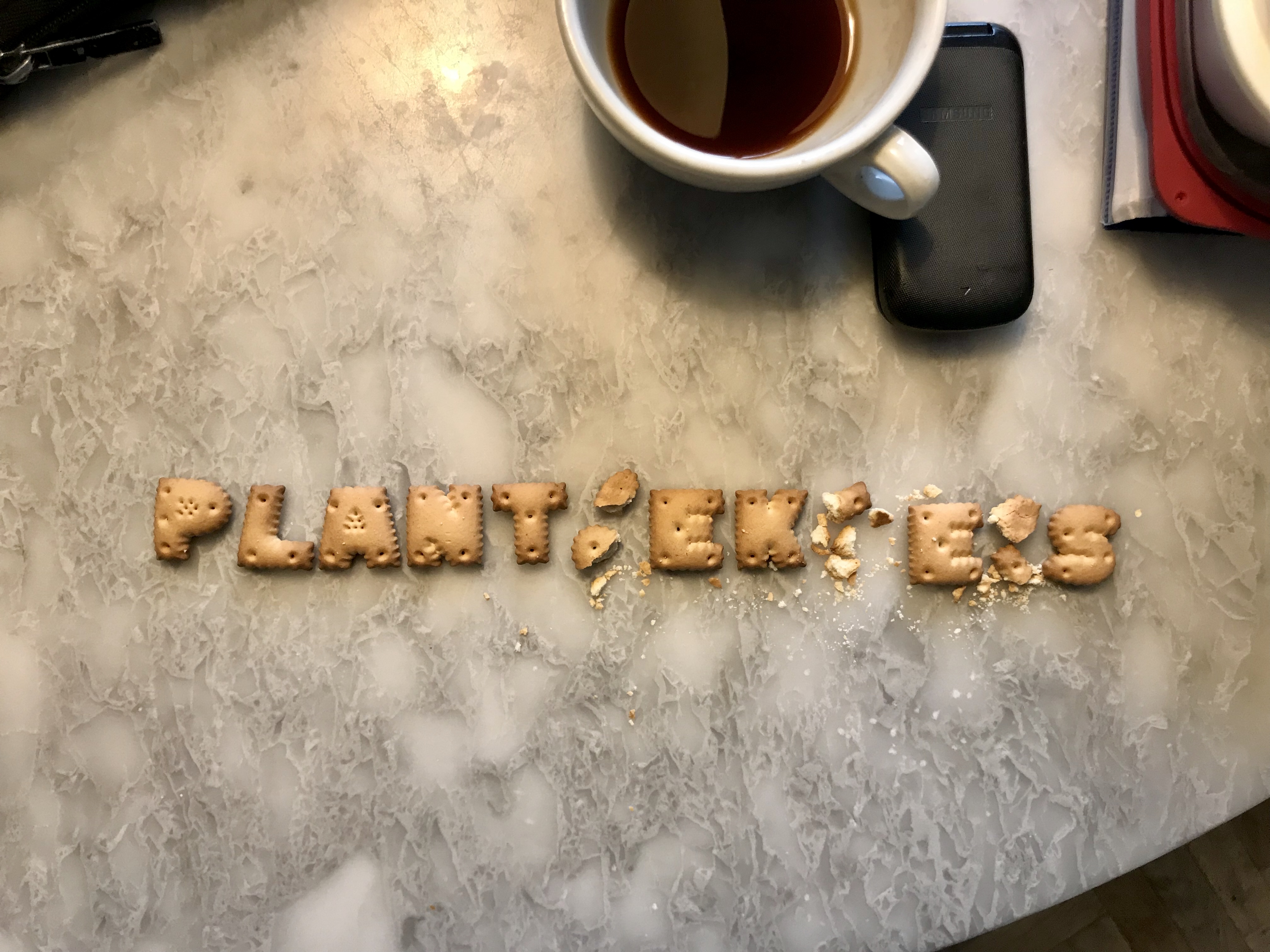 Foto 11-01-19 09 54 17.jpg